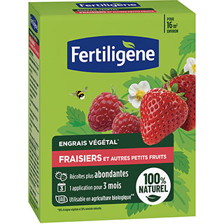 engrais fraisiers et petits fruits